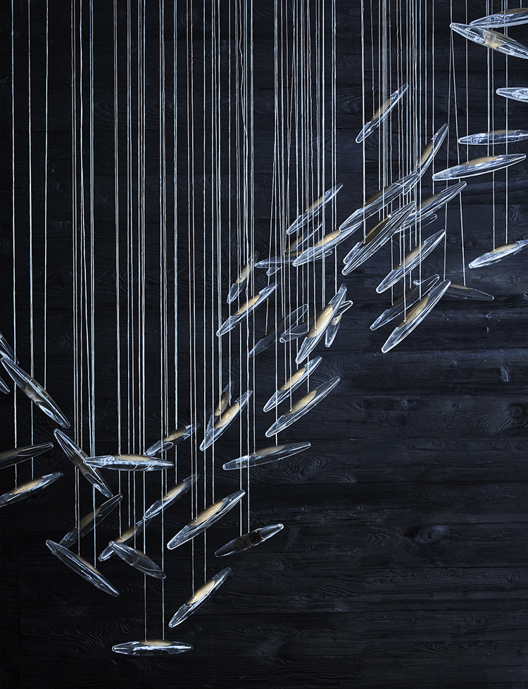 Moonlight Murmuration installation