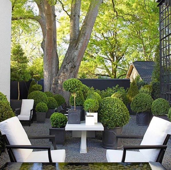 Garden oasis
